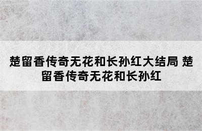 楚留香传奇无花和长孙红大结局 楚留香传奇无花和长孙红